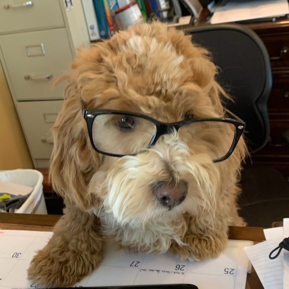 (0-24W; XS-4X) 25% Off ALL Bundles - Picture 13 of 13